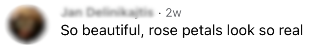 Comment on one of my paintings: “So beautiful, rose petals look so real”