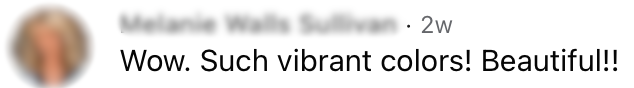 Comment on one of my paintings: “Wow. Such vibrant colors! Beautiful!!”