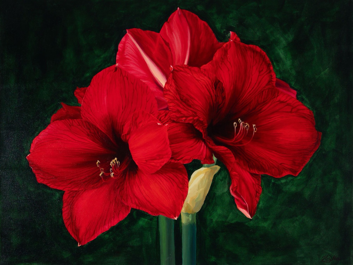 Acrylic painting of red amaryllis by HryMa