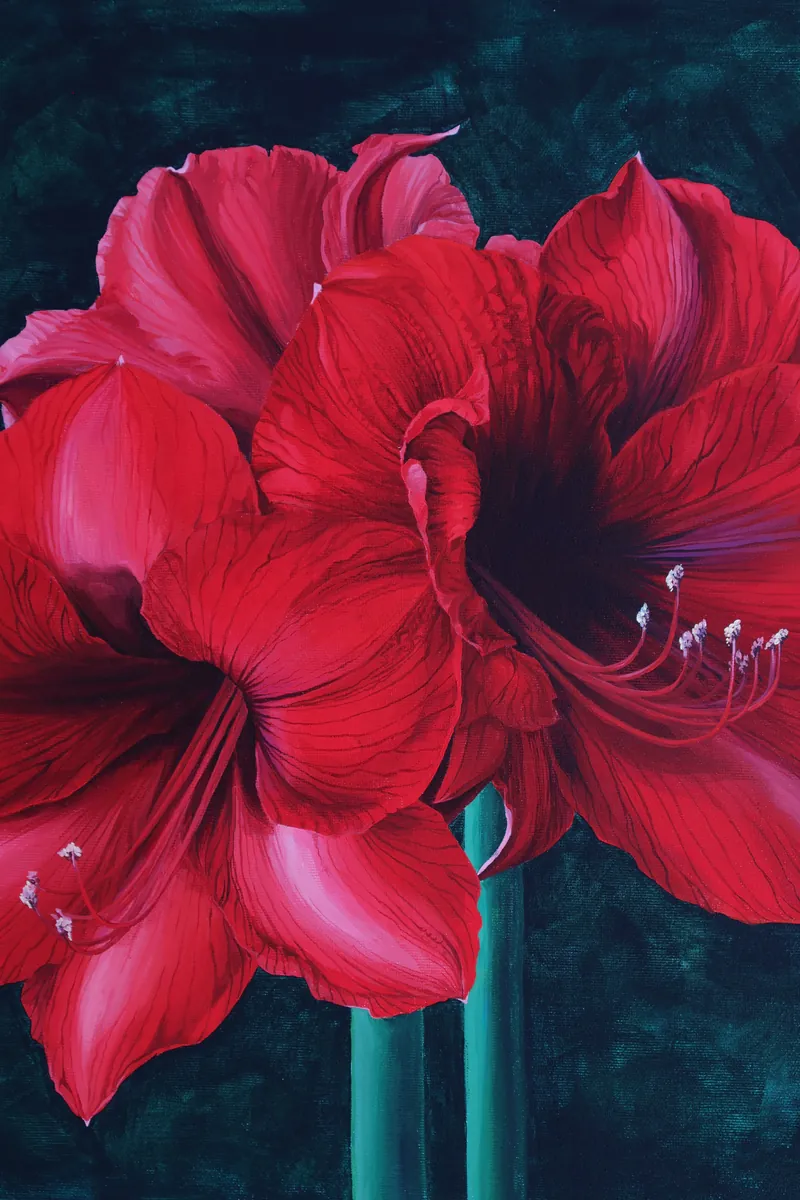 Vivid red amaryllis painted in acrylic by Maryna Hrytsaienko (HryMa)